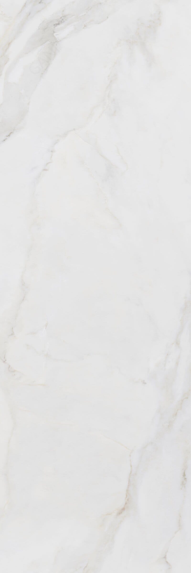 Calacatta Gold Extra 2923 marble tile