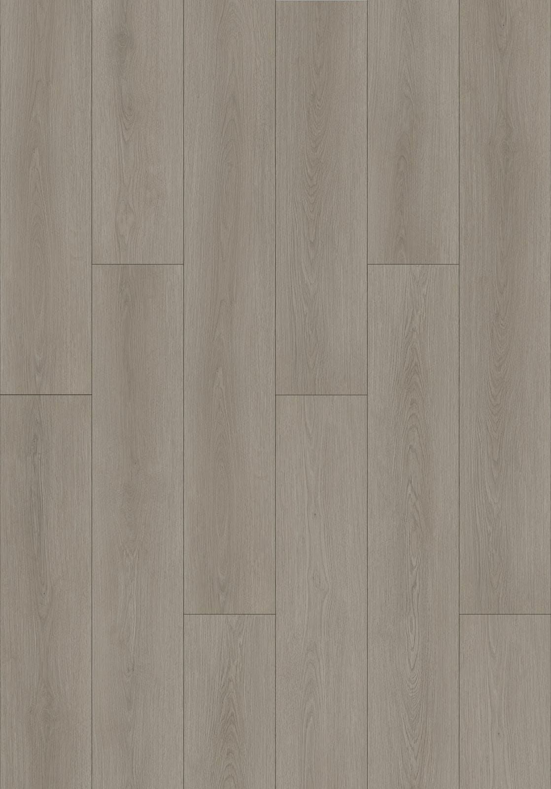 CW8902 Chimewood Birch Wood SPC Flooring - NOVA Select UAE