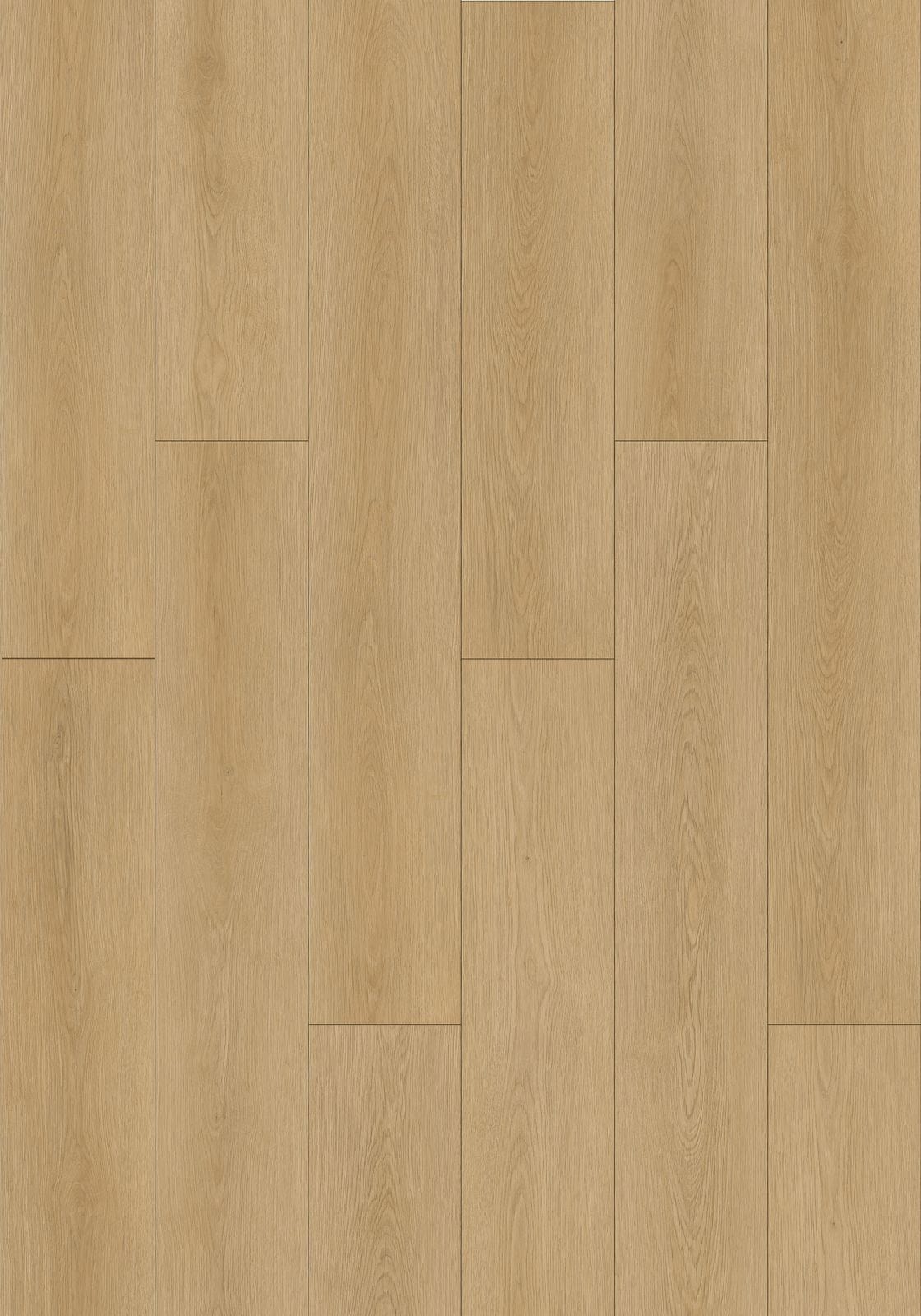 CW8905 Chimewood Birch Wood SPC Flooring - NOVA Select UAE