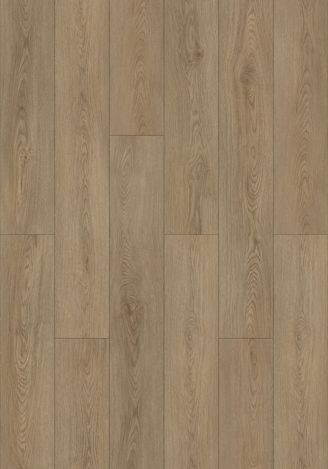 CW8113 Chimewood Cedar Wood SPC Flooring - NOVA Select UAE