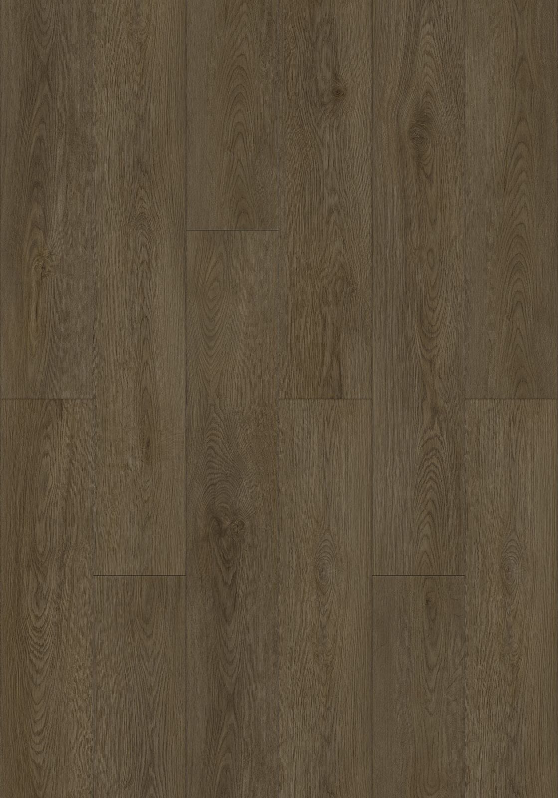 CW8117 Chimewood Cedar Wood SPC Flooring - NOVA Select UAE