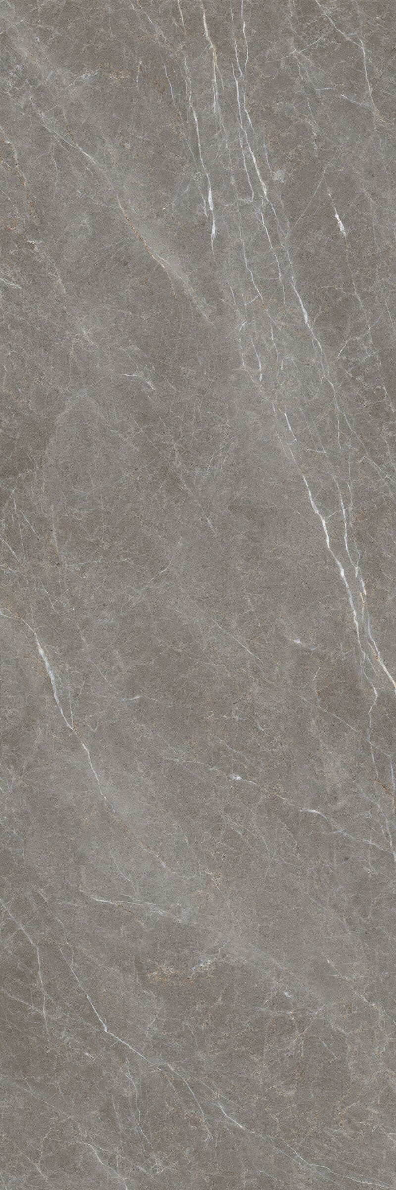 Cyprus Grey 5920 marble tile