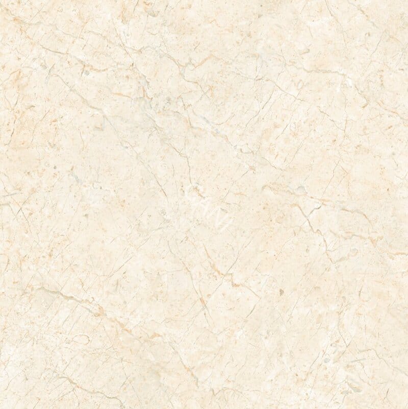Jurassic Beige 2848 room application