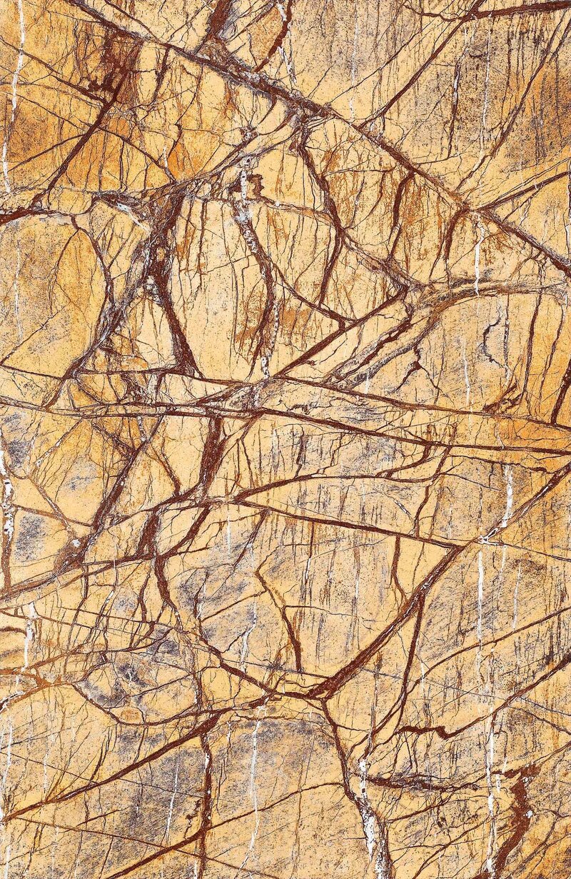 Rainforest Brown 7872 marble tile